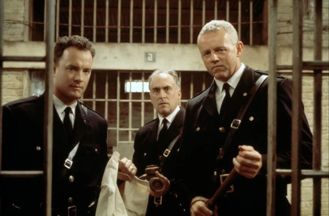 豆瓣平均评分8.8的8部神作,豆瓣8.8高分0差评神片