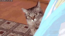 抗炎祛红痘痘,抗炎杀菌药膏痘痘