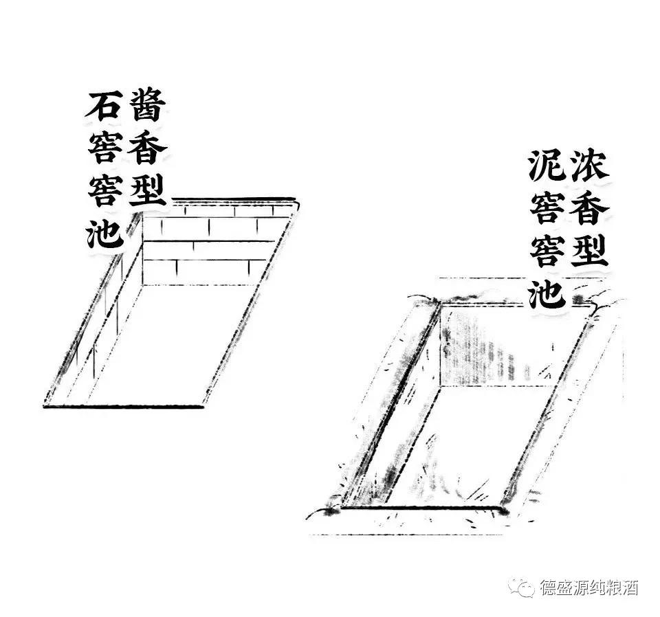 九龙醉38度浓香型白酒,五星级白酒浓香型52度