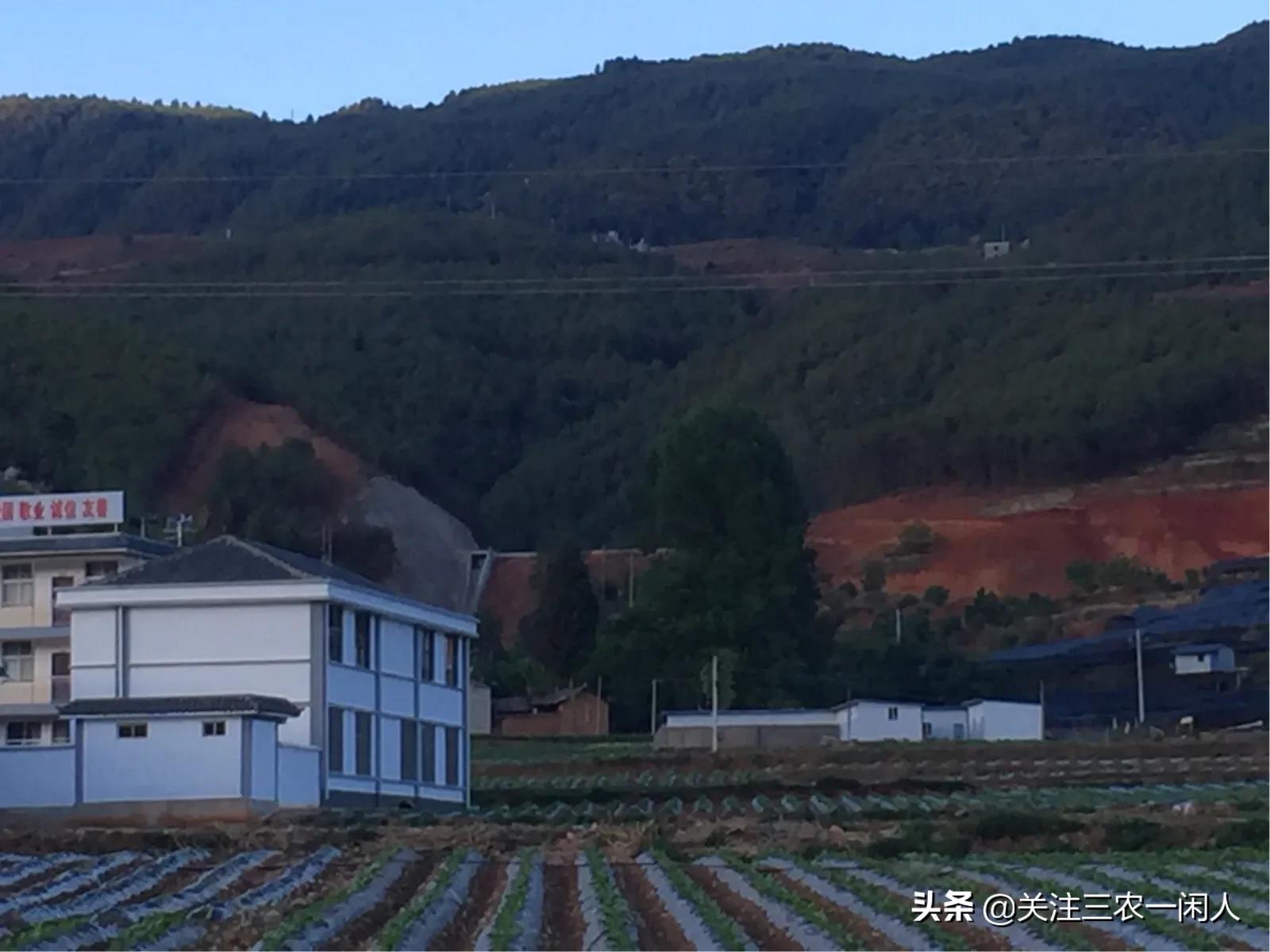 人老了最好的养老方式是什么,70后最适合的养老方式