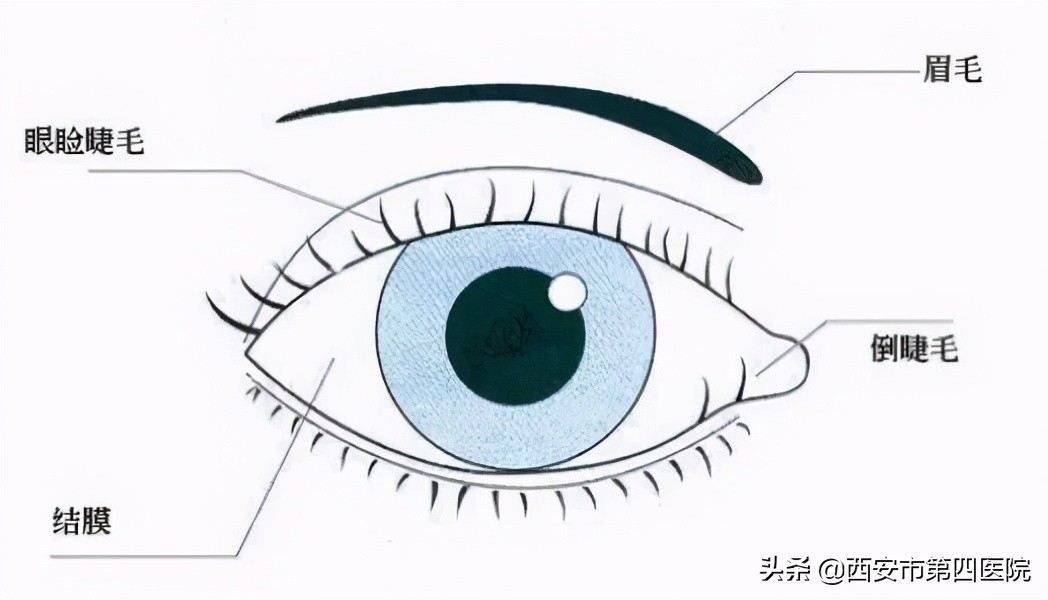 健康中国行动最新动态,健康中国2023我行动