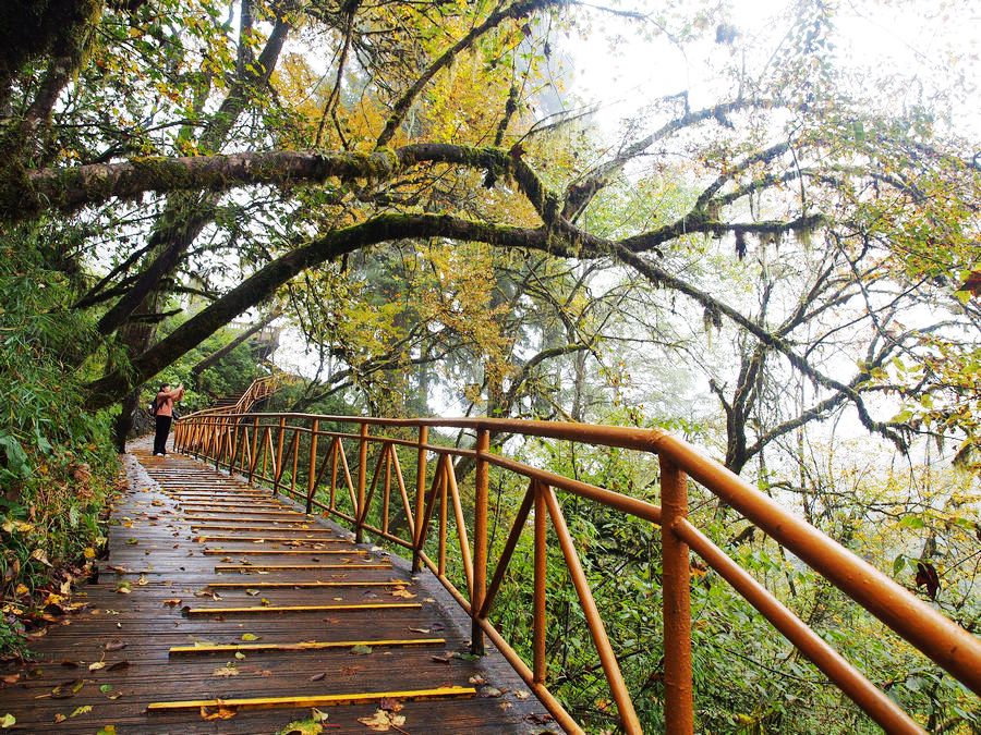 又美又神秘的风景,海螺沟的景色太美啦