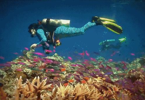 有个岛国,比美马代,比海南便宜,机票500起!