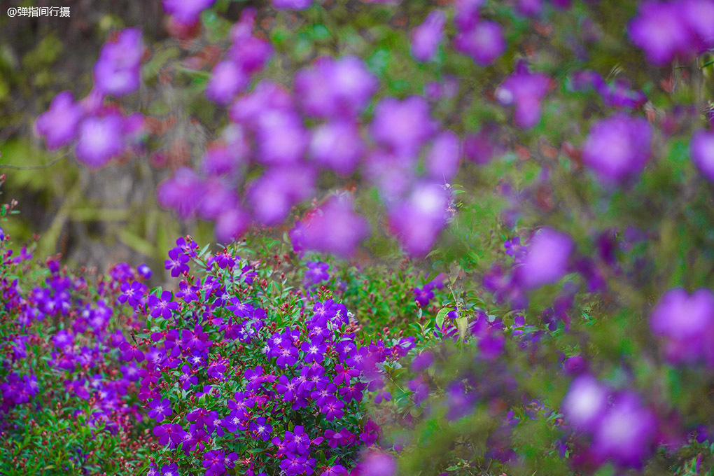 探索韶关秘境,粤北韶关风景