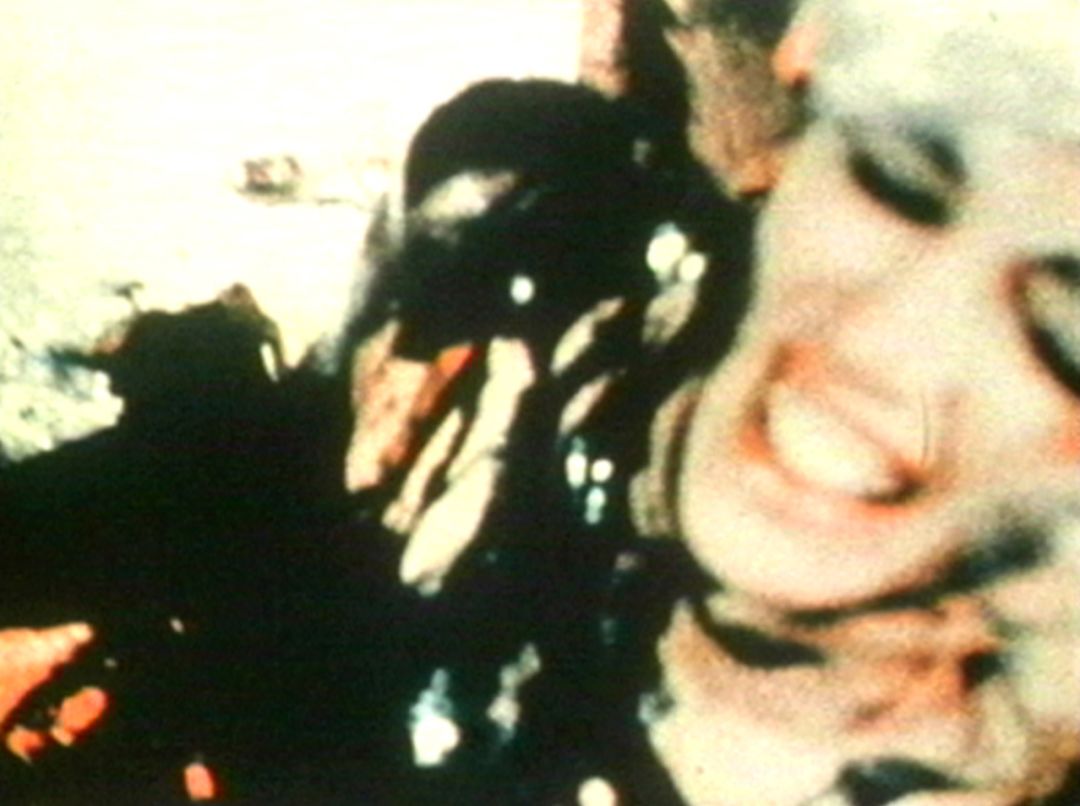 行为艺术家深度解析,行为艺术专家讲的什么