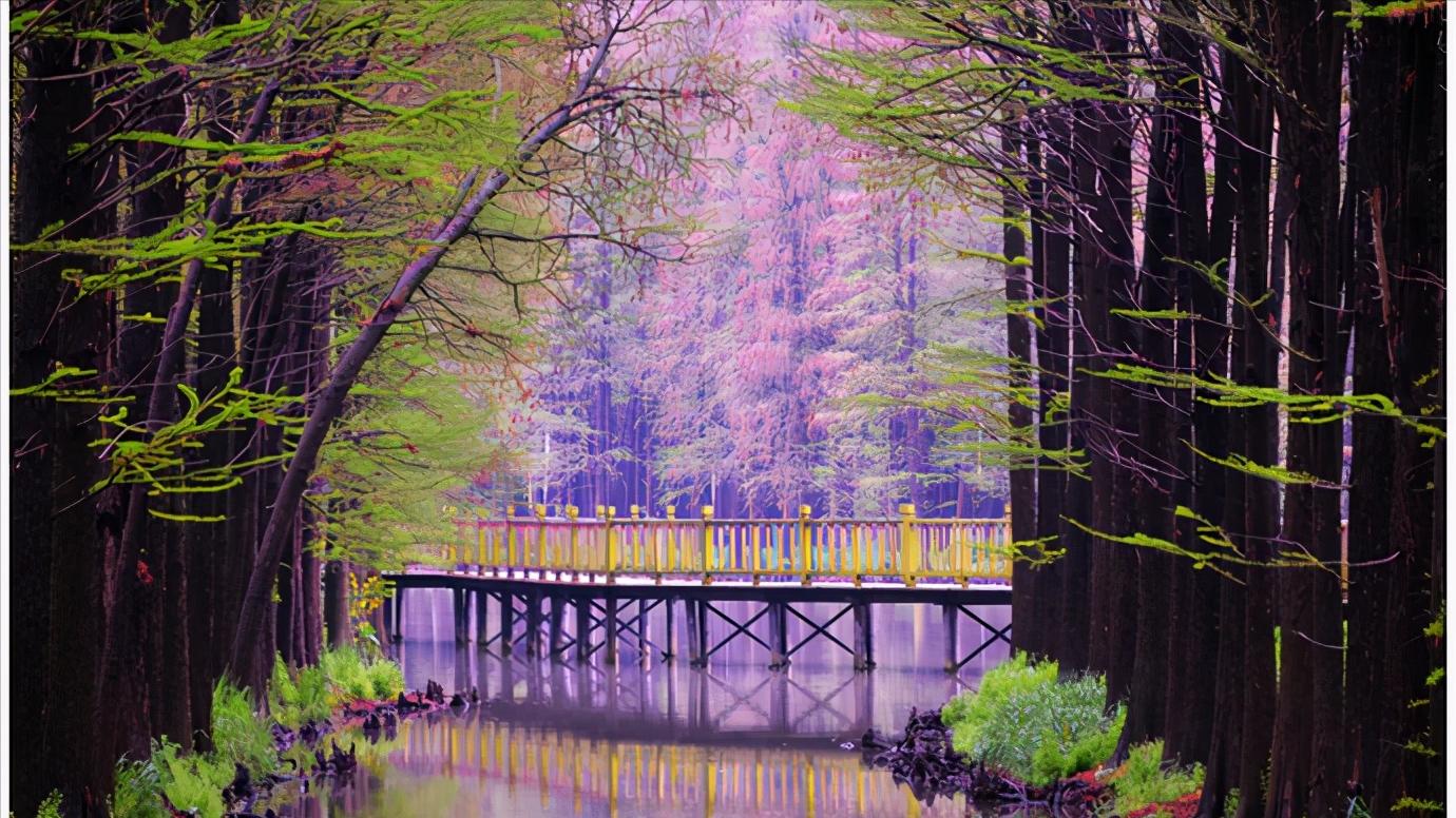 华东江苏篇,浅谈全国各省份