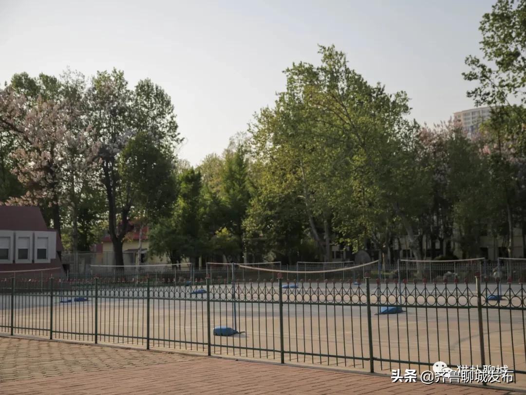 五个月未见面的聊城大学,现在你怎么样了?