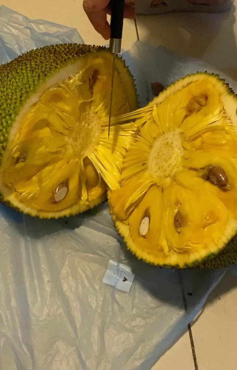 海南菠萝蜜正确打开方法,越南菠萝蜜怎么打开