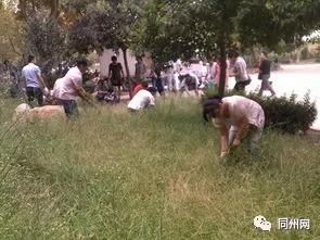 农垦中学甜品,农垦中学美食