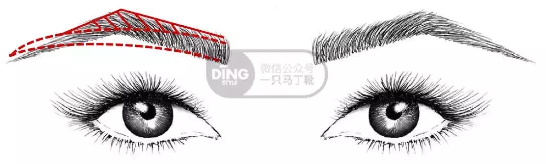 中庭又长又宽显老,中庭长怎么避免显老