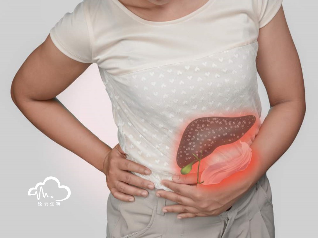 胆汁酸代谢障碍发生机制,胆汁酸代谢和脂质代谢