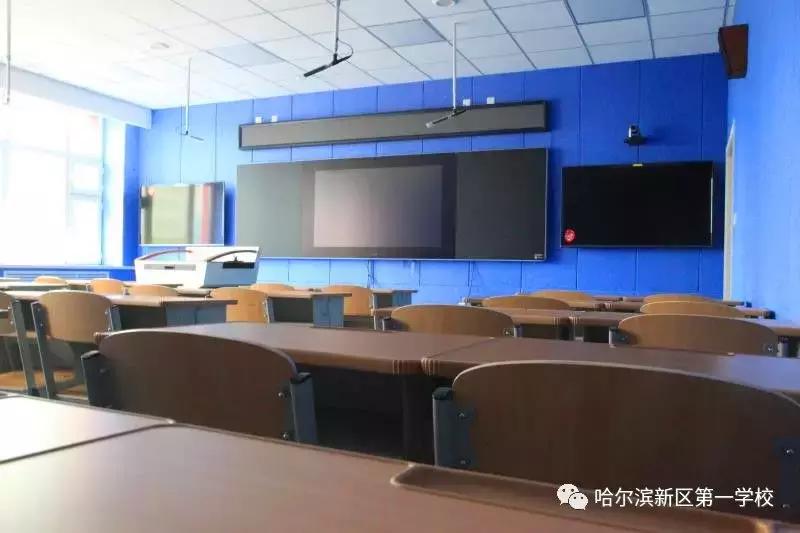 新区好学校,新区好的小学