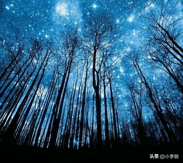 明日七夕愿天下有情人终成眷属,明日七夕歌曲原唱