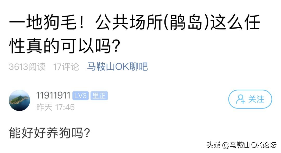 想不通!马鞍山这些‘垃圾人’还可以这么任性?