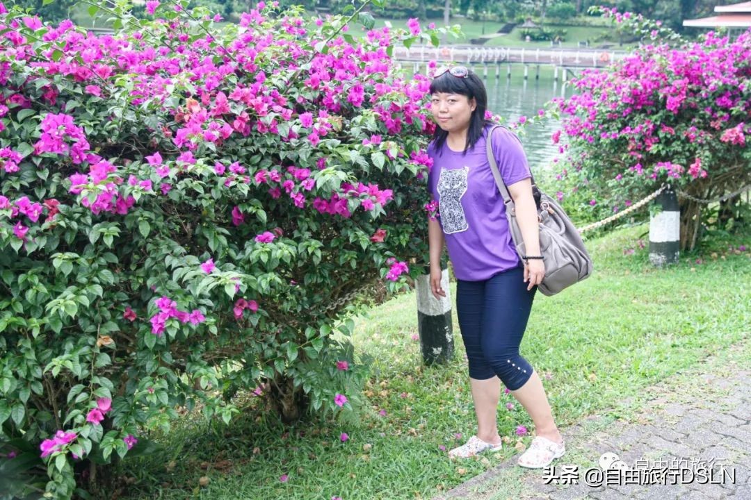 我们夫妻的身体变形记，减肥来之不易，恶心自己高兴别人