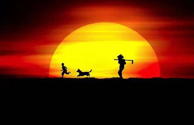 “坚强番茄”碰见“钢铁直男”