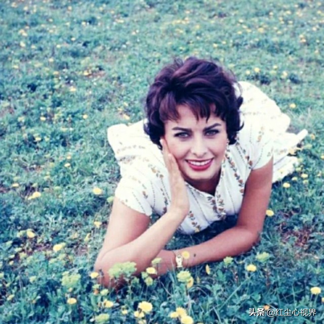 1957年，美丽的索菲娅·罗兰意大利永远的女神！