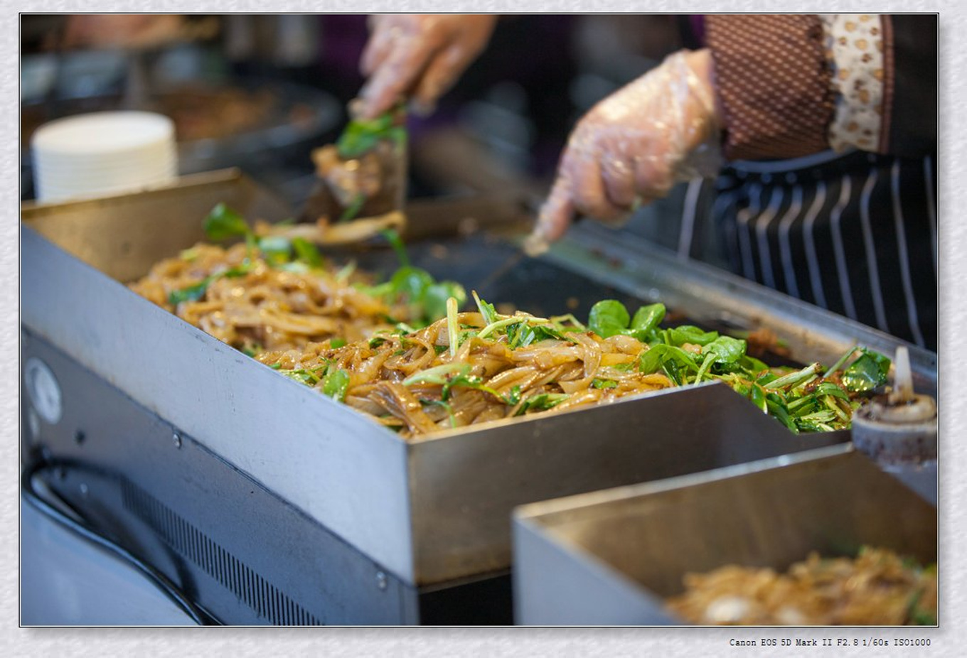 常州旅游东方盐湖城,骆驼之旅视频