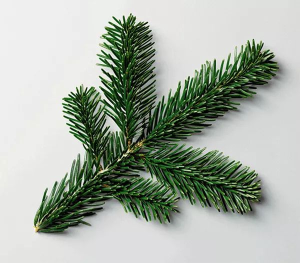 大家都在用什么解压方法,一个很神奇的解压方式