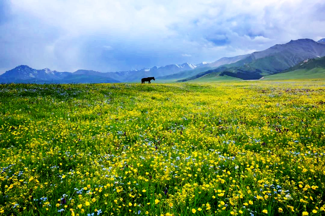 7月8月国内最美的地方,七八月份最美的地方