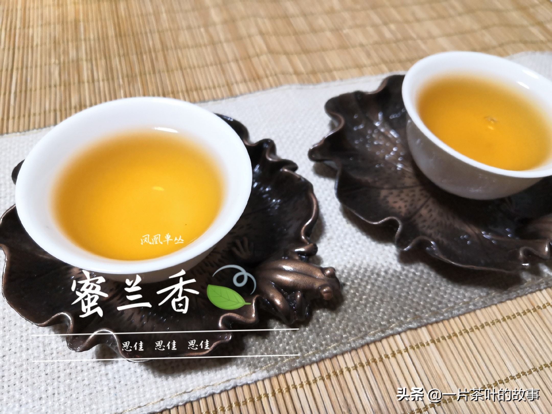 凤凰单丛冲泡方法和技巧,凤凰单丛正确冲泡方法