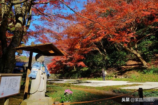 700年历史的日本小寺，为了看秋叶要买两次票，一次比一次贵