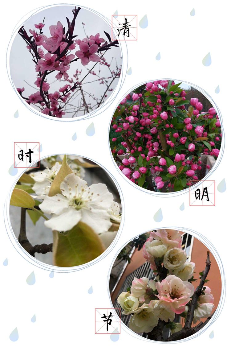 少年辛苦终身事，莫向光阴惰寸功。—峰山小学“宅而不慌”收获丰