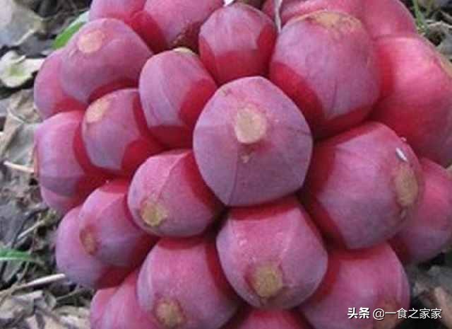 土豪吃得起的四种顶级水果,中国公认最好吃的六种水果