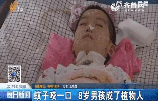 夏季再也不用担心蚊子,夏天不用药品防治蚊子的办法