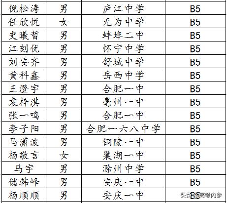 深度揭秘19年北京大学博雅计划安徽入选数据:两所高中遥遥领先