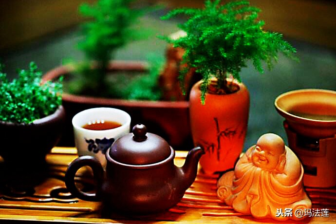 禅茶一味的真正含义是什么,禅茶一味的境界