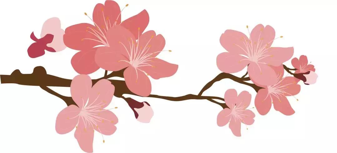 最美的花送给大家共赏,最美的花送给大家观赏