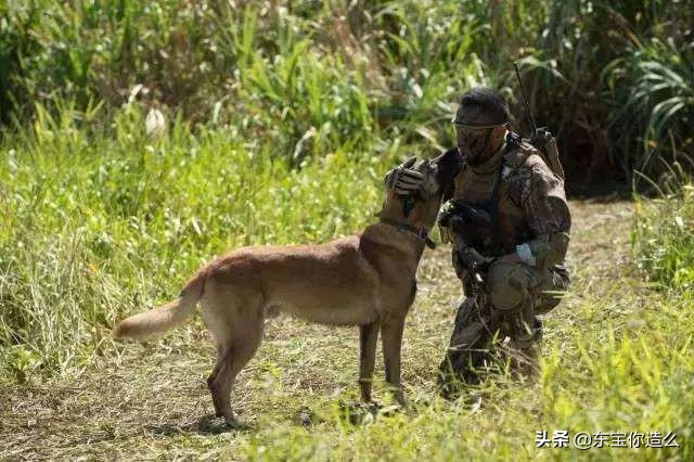 明星吸毒是怎么被抓的,明星吸毒被抓态度诚恳
