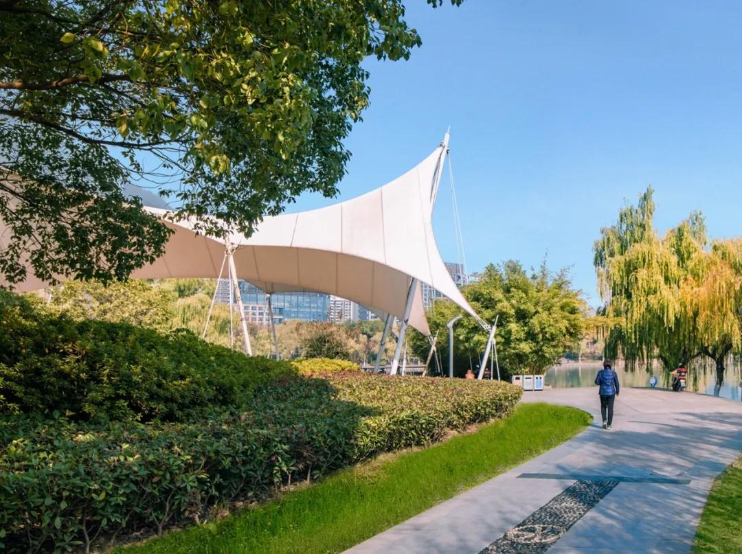 安徽省合肥市天鹅湖,安徽合肥的天鹅湖