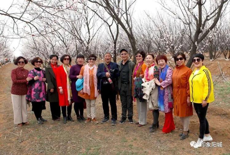 晋城哪里可以春游,晋城附近春游景点