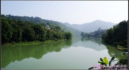 你的体表和肠道都有数目巨大的小生命与你共生存？你了解他们吗？