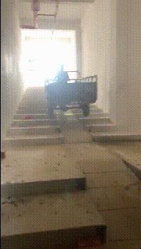 这只鹦鹉一直以为他是一只猴,所以每天都在重复做这个动作