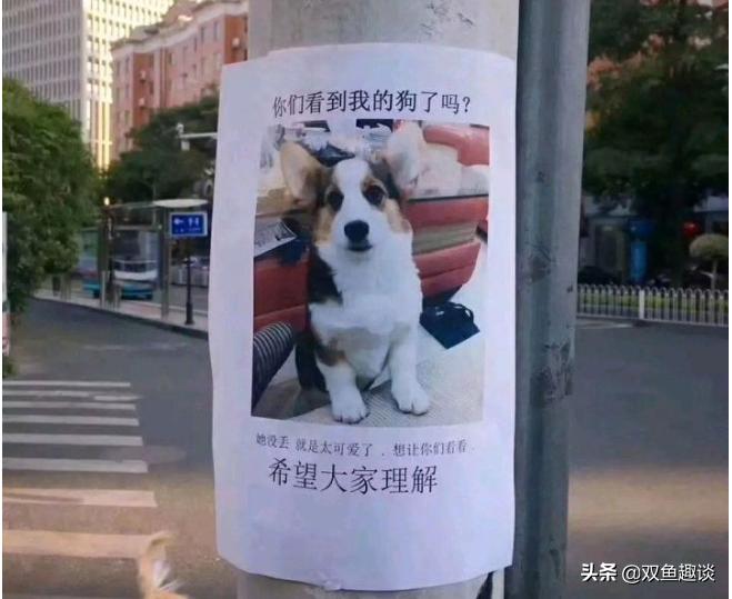 有哪些笑到肚子疼的搞笑段子,记录一下笑到肚子痛的段子