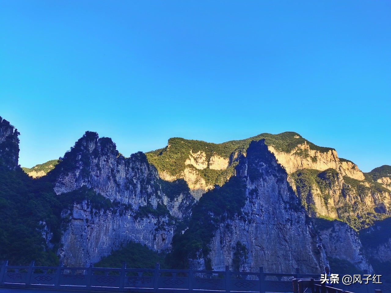 中国哪里的野生猕猴多,河南野生猕猴