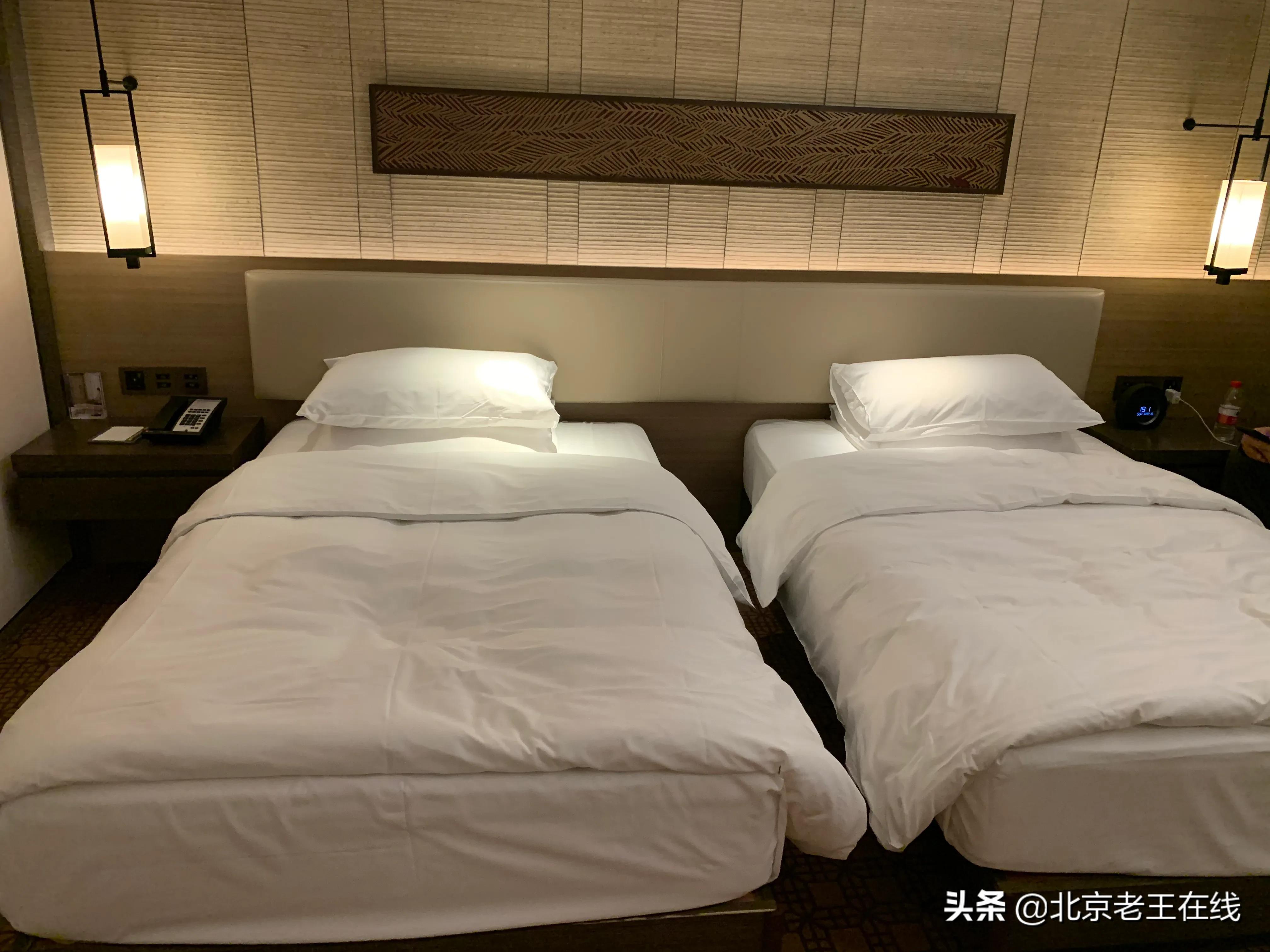 住店体验分享,住客房体验