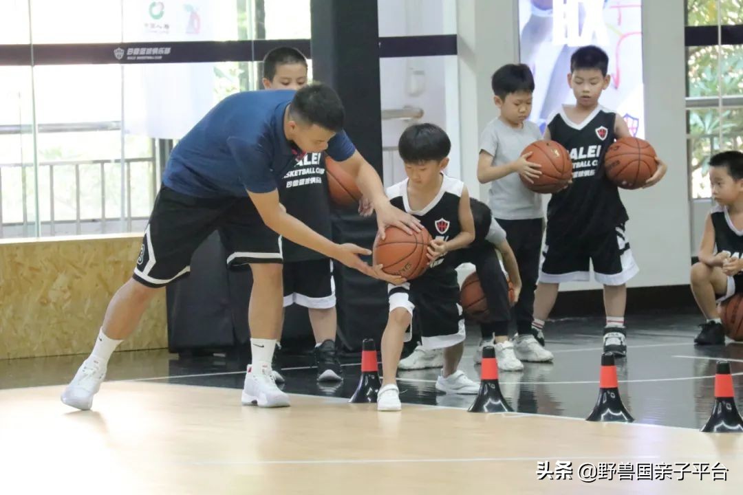少儿篮球运动哪家好,权威少儿篮球兴趣班机构排名