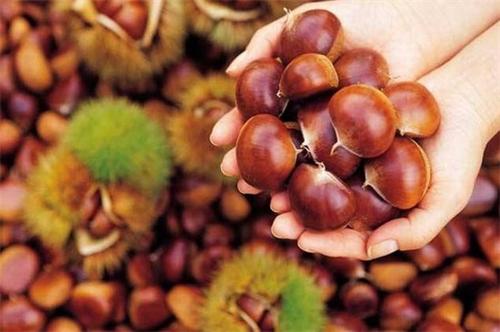 板栗如何存放很好吃,板栗吃不完能放冰箱里冻着吗