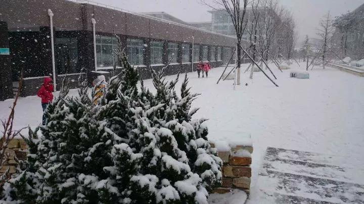 辽宁省高校（三十一）大连医科大学