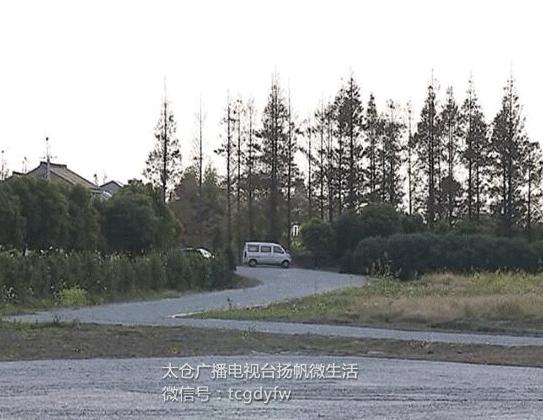 看看四十年的农村你还有印象吗,四十年前的浏河