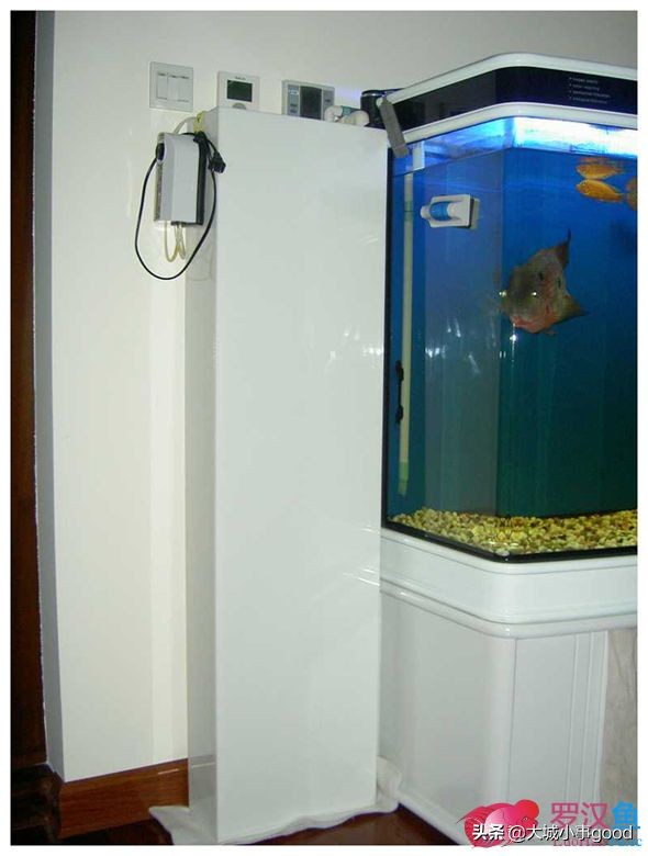 鱼缸过滤系统的基础解析,鱼缸过滤桶过滤原理