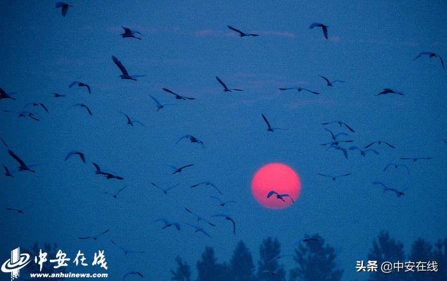 安徽七月,七月安徽景色