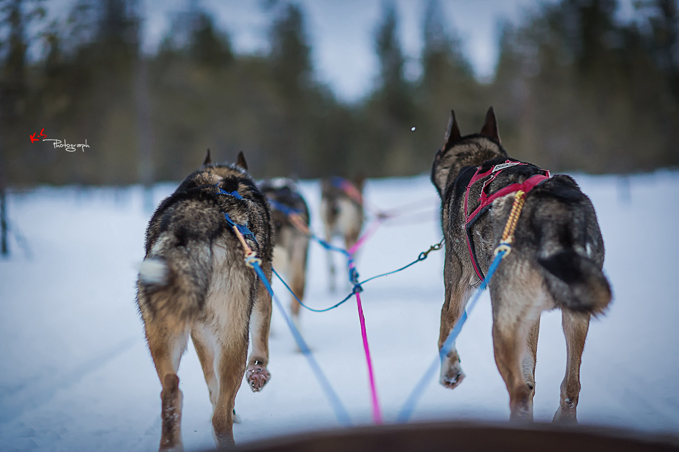 果小姐的日常,果小姐的慢生活
