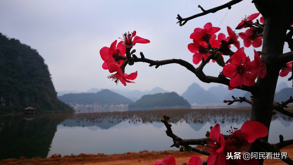 云南普者黑元阳坝美6天旅游攻略,云南建水普者黑旅游路线