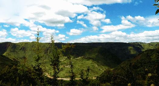 新品上市突尼斯软籽酸甜口石榴,正宗突尼斯软籽石榴成都