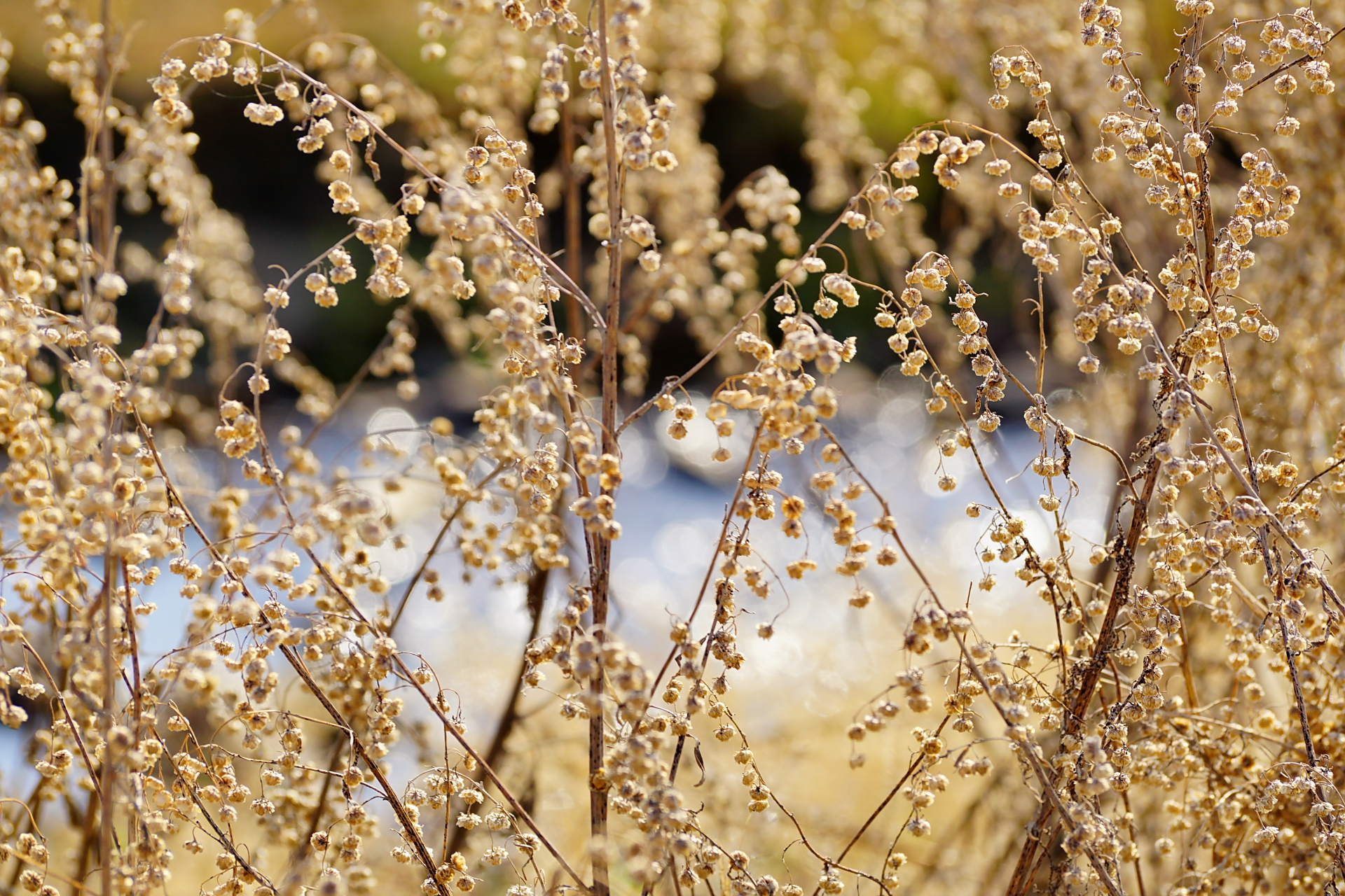 京北第一天路千松坝国家森林公园,千松坝森林公园和京北第一天路